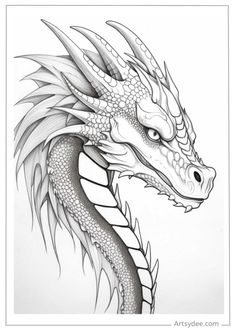 a black and white drawing of a dragon