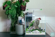 a vase filled with flowers sitting next to a fish tank on top of a table