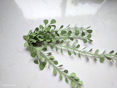 some green leaves on a white table