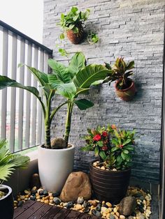 there are many potted plants on the outside of this building, along with rocks and pebbles