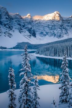 snow covered trees and mountains surrounding a lake