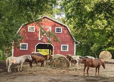 several horses are eating hay in front of a red barn with bales of hay