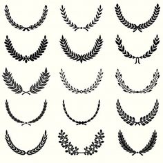 a set of laurel wreaths with different shapes and sizes, all in black on a white background