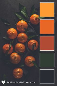 Darkly lit still life of oranges and leaves with a color palette overlay from Paper Heart Design Dark Emerald Color Palette, Bright Color Palette With Black, Spring Decor Color Palette, Dark Rich Color Palette, Dark Green Terracotta Color Palette, Deep Rich Color Palette, Afrocentric Color Palette, Moody Maximalist Color Palette, Historical Color Palette