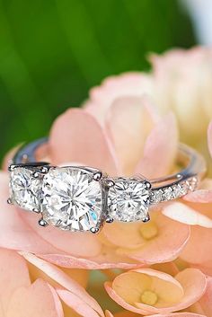 three stone diamond ring sitting on top of pink flowers