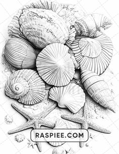 some sea shells and starfish are on the beach coloring page for adults to color