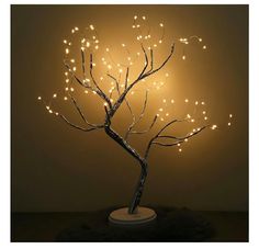 a lighted tree with white lights in the shape of branches on a round base, against a dark background