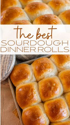 the best sourdough dinner rolls in a pan