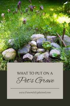 what to put on a pet's grave in the garden with rocks and flowers