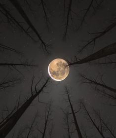 the moon is seen through some trees in the night sky with no leaves on it