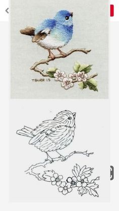 two cross stitch pictures, one with a blue bird and the other with white flowers