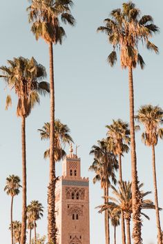 a tall tower with a clock on it surrounded by palm trees