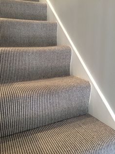 a cat sitting on top of a carpeted stair case next to a hand rail