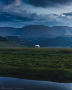 a white horse is grazing on the grass in front of some mountains and water under a cloudy sky