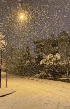 a street light in the middle of a snow storm at night with buildings and trees covered in snow