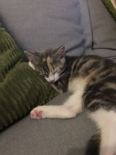 a cat laying on top of a couch next to a green pillow with its eyes closed