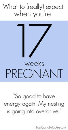 a blue and white poster with the words 17 weeks pregnant in black lettering on it