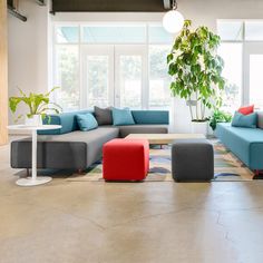 a living room filled with lots of furniture next to a large potted plant on top of a table