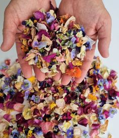 Natural, Biodegradable Wedding Confetti. Dried Rose Petals, Dried Vintage Flowers. These Fragrant dried rose petals are wonderful for decoration in special events. The petals are made from REAL fresh roses which we bring from the growers. These magnificent dried rose petals are a 100% natural product. The petals are perfectly preserved to look beautiful on your special day. The options to use them are many: Use them to border an aisle runner, fill them into cones for tossing, or simply decorate Wildflower Confetti, Dried Flower Confetti, Biodegradable Wedding, Flower Petal Confetti, Eco Friendly Confetti, Petal Toss, Wedding Toss, Biodegradable Confetti, Flower Confetti