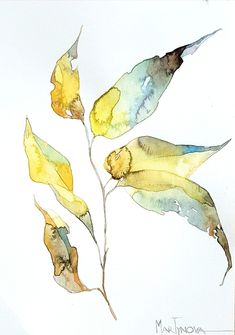 a watercolor painting of yellow flowers on a white background