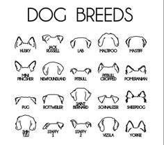 the dog breeds are shown in black and white, with an outline of their names