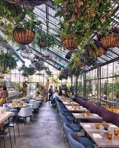 the inside of a restaurant with tables, chairs and plants hanging from the ceiling above