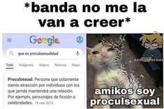 a newspaper page with an image of a cat and the caption that reads, banda no me la van a creer