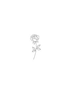 a single rose is shown in the middle of a white background with black lines on it