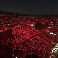 a large group of people standing in front of a stadium filled with red lights at night