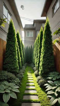 an outdoor garden with grass and stepping stones