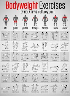 the bodyweight exercises poster is shown