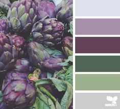 purple artichokes with green leaves are displayed in the color palette for this photo