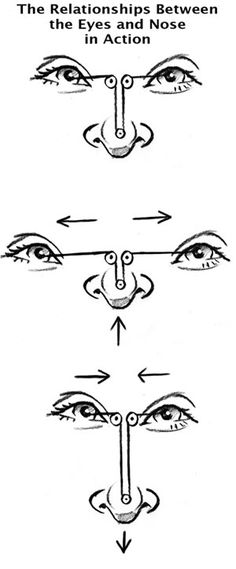 an eye diagram with different angles and directions