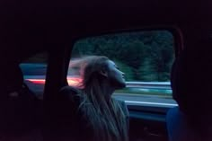 a woman sitting in the passenger seat of a car looking out the window at trees