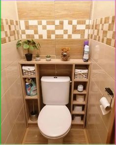 there is a toilet in the bathroom with shelves on either side and plants growing out of it