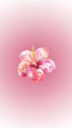 a pink flower on a pink background