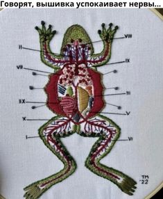 a cross stitch frog with labels on it's body