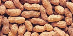 peanuts are the most nutritious food in the world