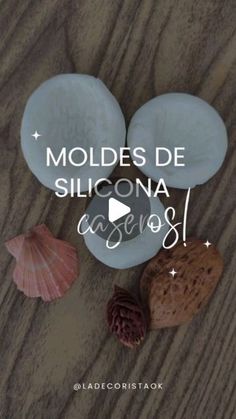 shells and seashells with the words moldes de silicona casos