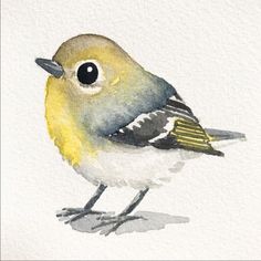 a watercolor painting of a yellow and gray bird