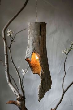 a light that is on top of a tree branch hanging from a ceiling fixture in a room