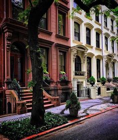 a row of brownstone townhouses with trees in the foreground and stairs leading up to them