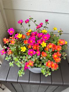 a potted plant with colorful flowers sitting on a wooden table outside the door way