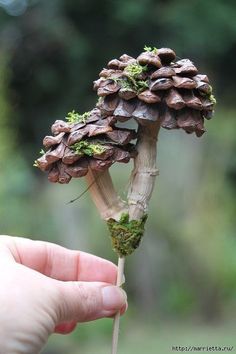 Оригинальные поделки из шишек. | OK.RU Fairytale Decor, Pine Cone Art, Mushroom Crafts, Acorn Crafts, Fairy Garden Designs, Fairy Garden Crafts, Pine Cone Decorations, Cones Crafts, Garden Art Sculptures Diy