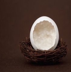 an egg shell is sitting in a bird's nest