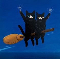 two black cats are flying on a broom with sparklers in their eyes and one cat is looking at the camera