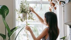 a woman hanging plants on a window sill in front of a potted plant