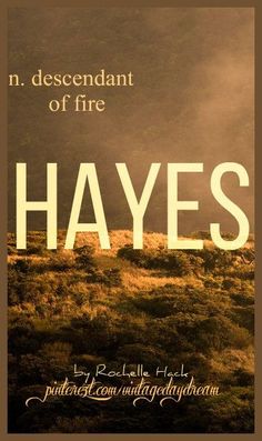 a book cover with the words hayes written in large letters on top of a grassy field