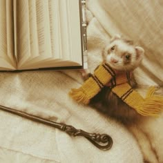 a ferret wearing a scarf and holding an open book