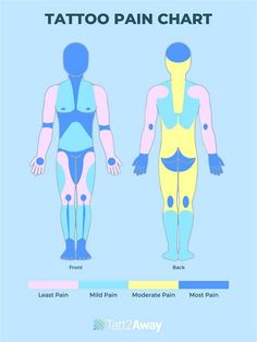 the different types of body parts